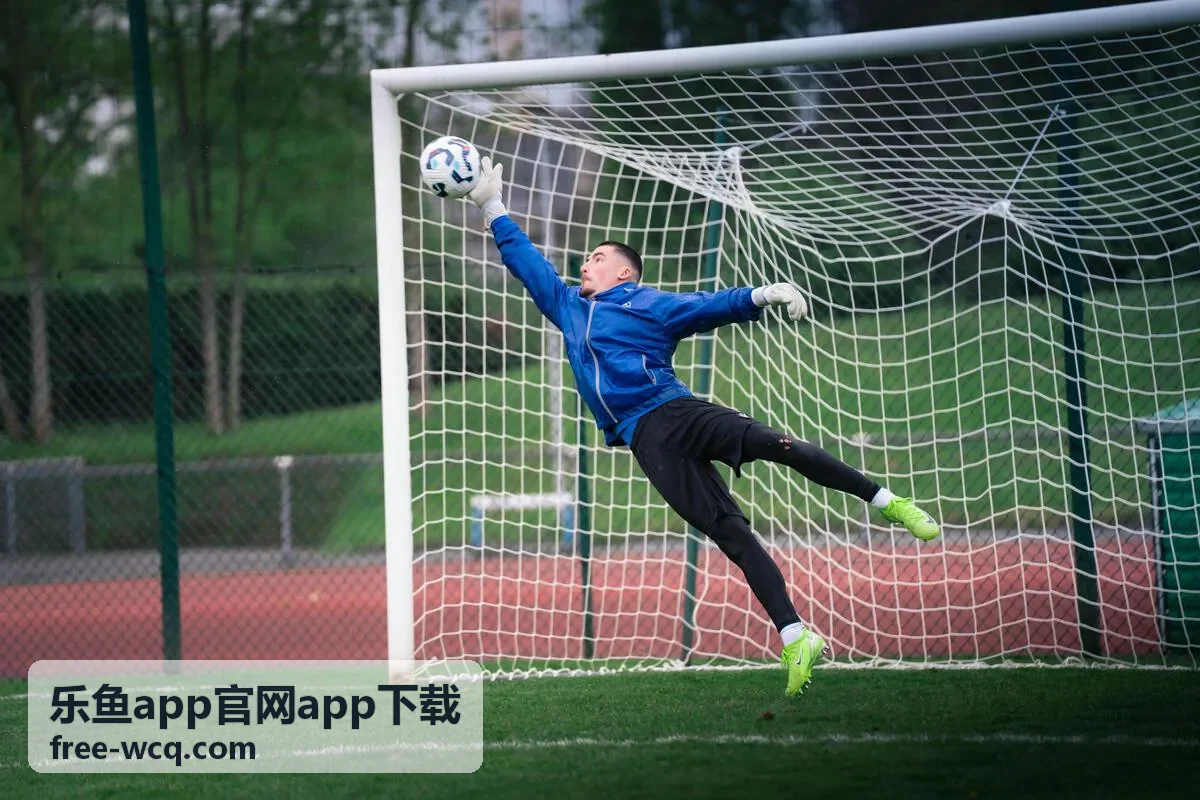 乐鱼app官网app下载游戏盒子功能